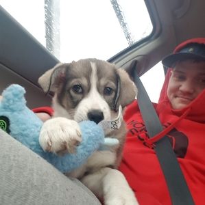 Meet your Posher, Steve